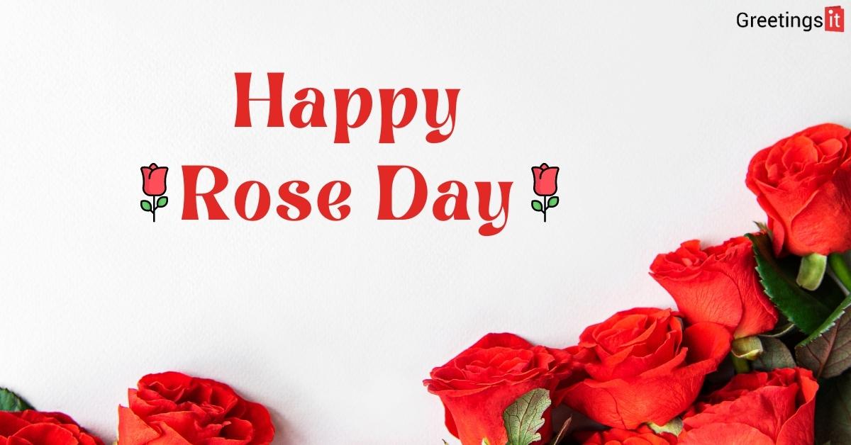 Happy Rose Day greetings wishes status